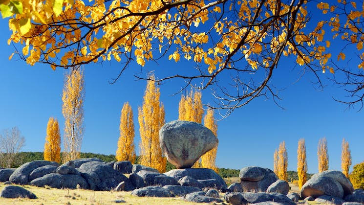 CBD GI Motel - Autumn Balancing Rock